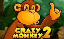 La slot machine Crazy Monkey 2
